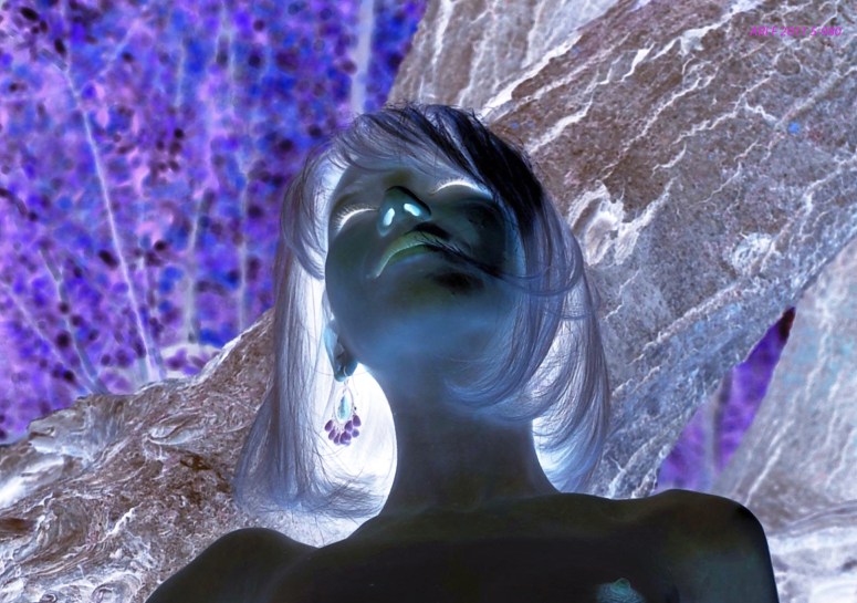 arif-5-980-wp-sg-ret